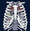 md anatomy