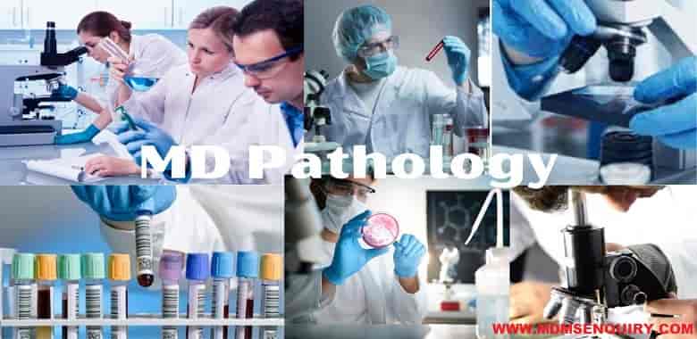 MD Pathology Admission in Top Medical Colleges