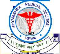 SSMC Rewa