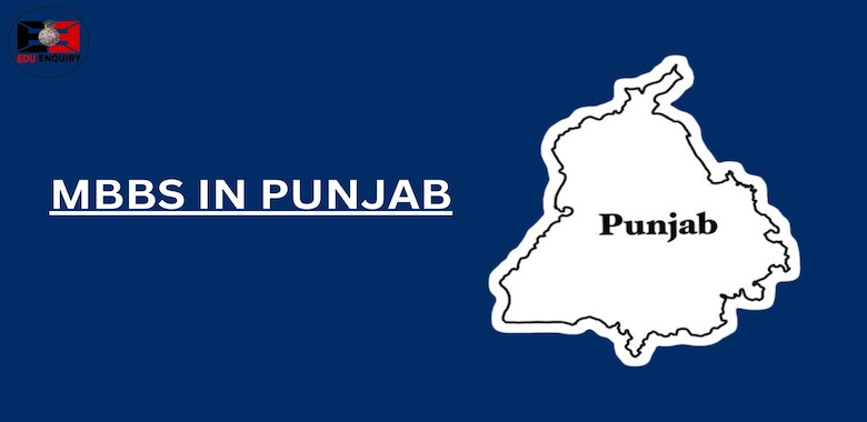 MBBS in Punjab