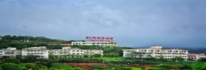Sinhgad Institute of Technology